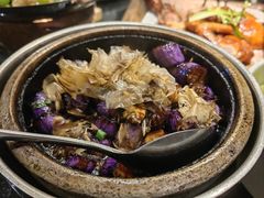 -宁波杉井奥特莱斯广场