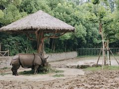 -上海野生动物园