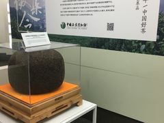 -中国茶叶博物馆(双峰馆区)