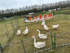 -上海长兴岛郊野公园