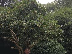 -杭州少年儿童公园