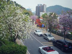 -小南山公园