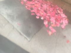 -咸宁万豪温泉谷度假区