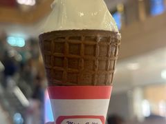 -富豪雪糕车流动点(尖沙咀)