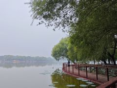 -石家庄市植物园
