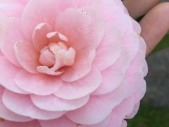 -艾溪湖湿地公园