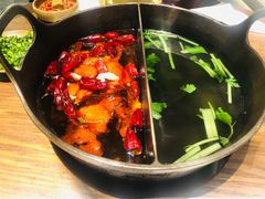 草本鸳鸯锅-盡膳口福跷脚牛肉火锅(合生汇购物中心店)