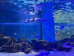 -常州海昌海洋探索馆