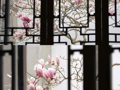 -耦园