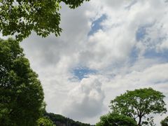 -宜兴龙背山森林公园