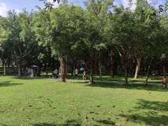-福田红树林生态公园