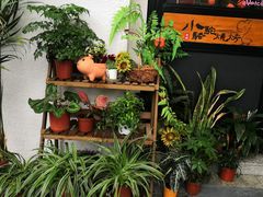 门面-福苗小骆驼烧烤(莲湖路店)