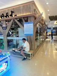 -卡通尼·Safari非洲探索乐园·生日会(金桥国际商业广场店)