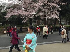 -东京浅草和服体验江户和装工房雅(浅草本店)