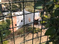 -三鹰之森吉卜力美术馆