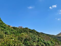 -大姆山草场