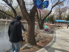 -北陵公园