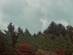-四明山国家森林公园