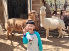 -大连森林动物园