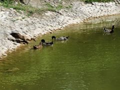 -香山公园-东宫门售票处