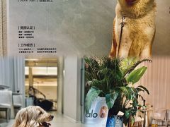 -YCHL Studios健身工作室(市二宫店)