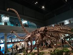 -自贡恐龙博物馆