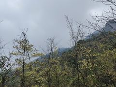 -南丹山森林王国