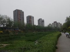 -味多美蛋糕(洋桥店)