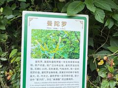 -野象谷景区