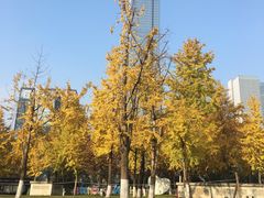 -重庆市江北嘴中央商务区中央公园