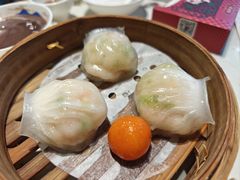 -点都德·毕德寮