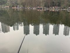 -重庆彩云湖湿地公园