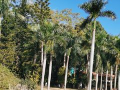 -深圳仙湖植物园
