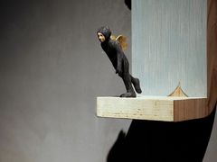 -元白和创园展厅