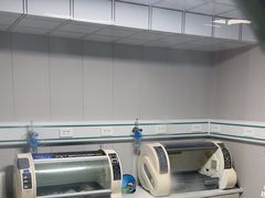 -半岛宠物医院24小时(科华中路店)