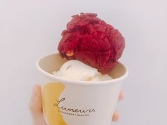 -LUNEURS月乐诗·法式冰淇淋(环贸店)