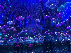 -深圳独角兽星空艺术馆