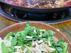 -黄潇洒老火锅(九眼桥宏济巷店)