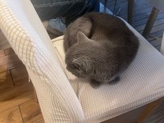 -春笙食堂.丼饭拉面寿司(GOGO新天地店)