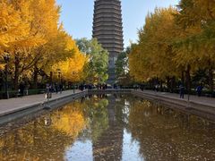 -玲珑塔公园