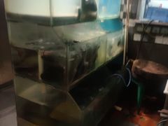-花千代秘制烤鱼(曼哈顿店)