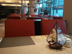 大堂-亮马河饭店翠雅咖啡厅