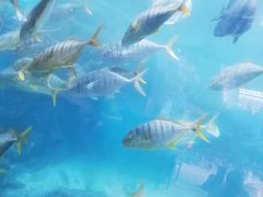 -波塞冬旅游度假区