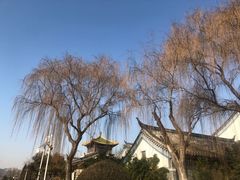 -济南国际园博园