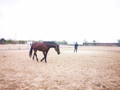 -松声马术俱乐部