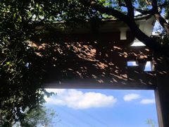 -水濂山森林公园