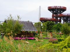 -芒洲湿地公园