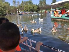 -西安秦岭野生动物园