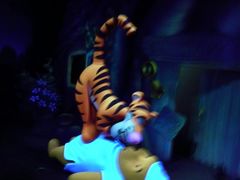 -小熊维尼历险之旅