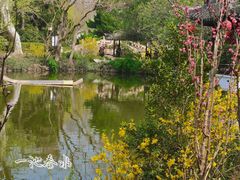 -上海醉白池公园